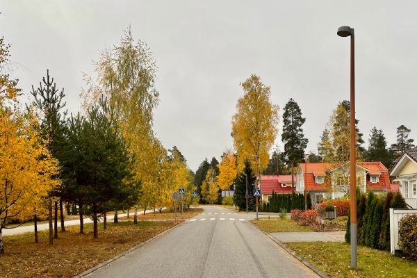 Kruununmaan aluevalaistus